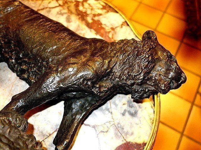 Animal Bronze By Christophe Fratin-photo-4