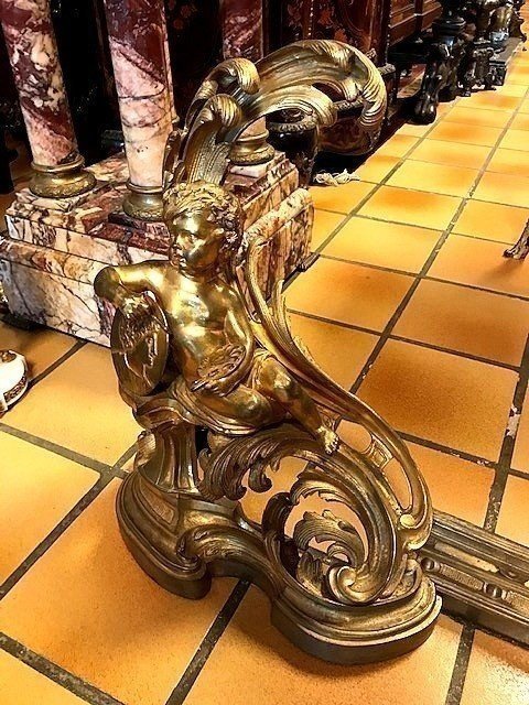 Bronze Andirons Napoleon III -photo-1