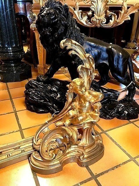 Bronze Andirons Napoleon III -photo-2