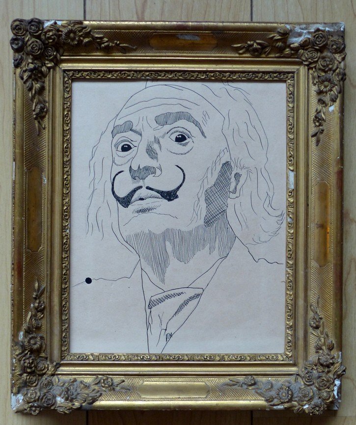 Portrait Of Dali-photo-2