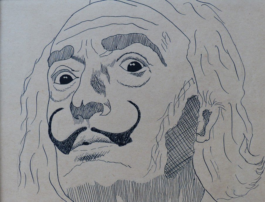 Portrait Of Dali-photo-3