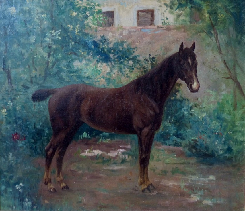 Portrait De Cheval Vers 1910