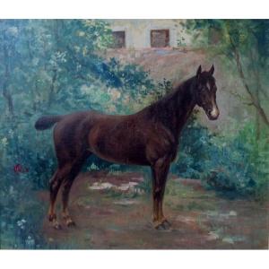 Portrait Of A Horse Circa 1910