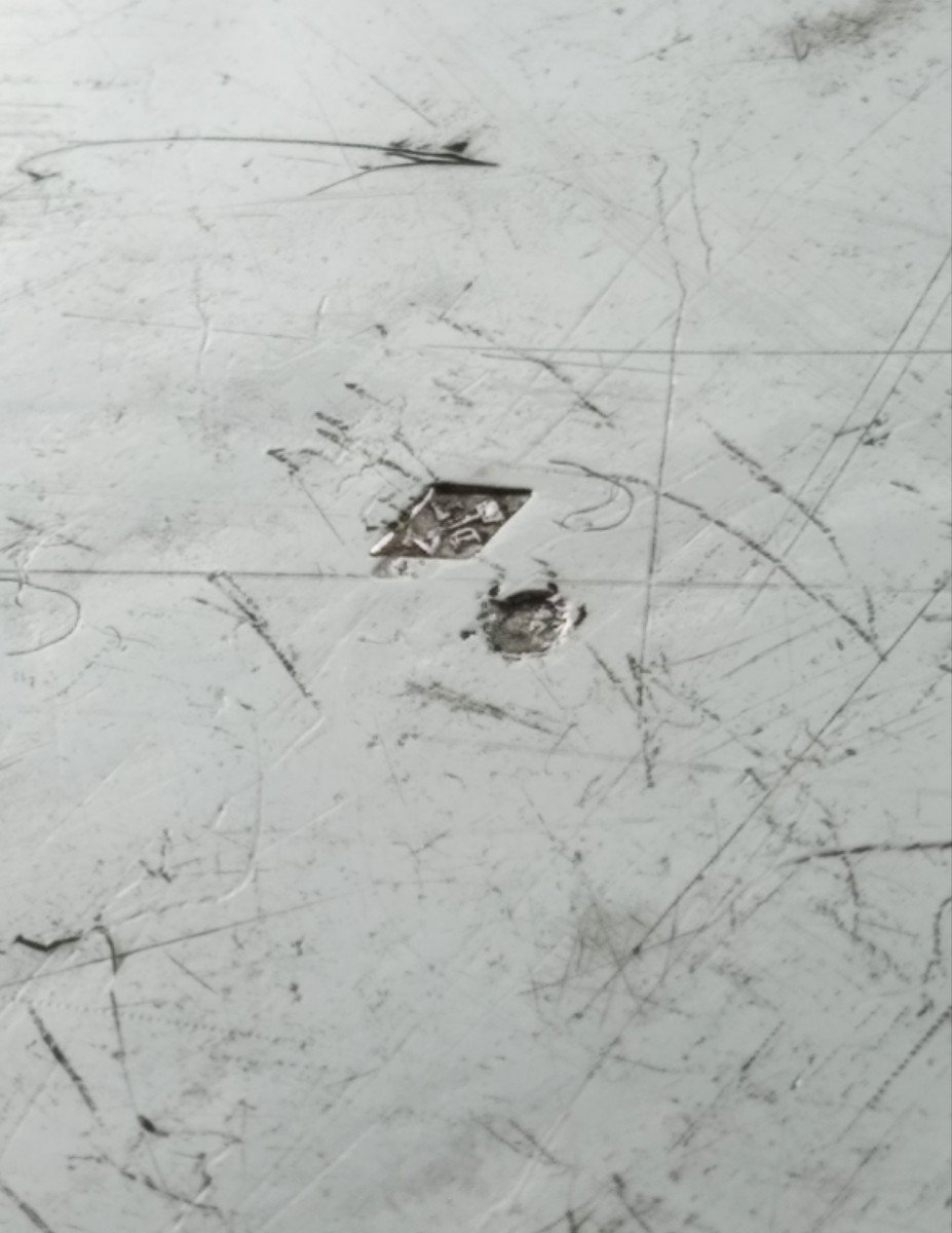 Légumier En Argent ,modèle Filet Contour Et Agrafes De Feuillage, Prise En Forme De Faisan-photo-4