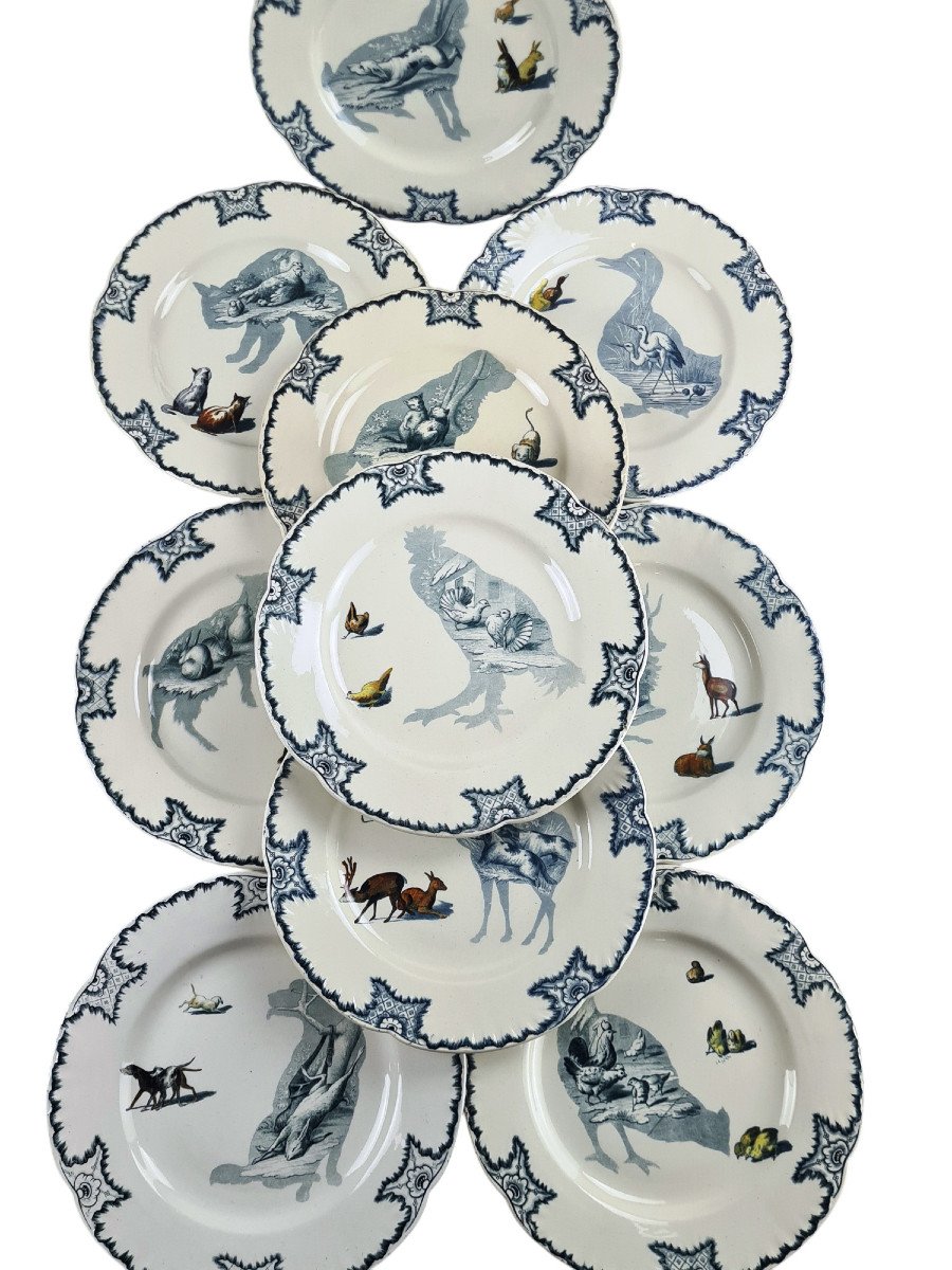 Set Of 14 Creil And Montereau Earthenware Dinner Plates, Silhouet Model