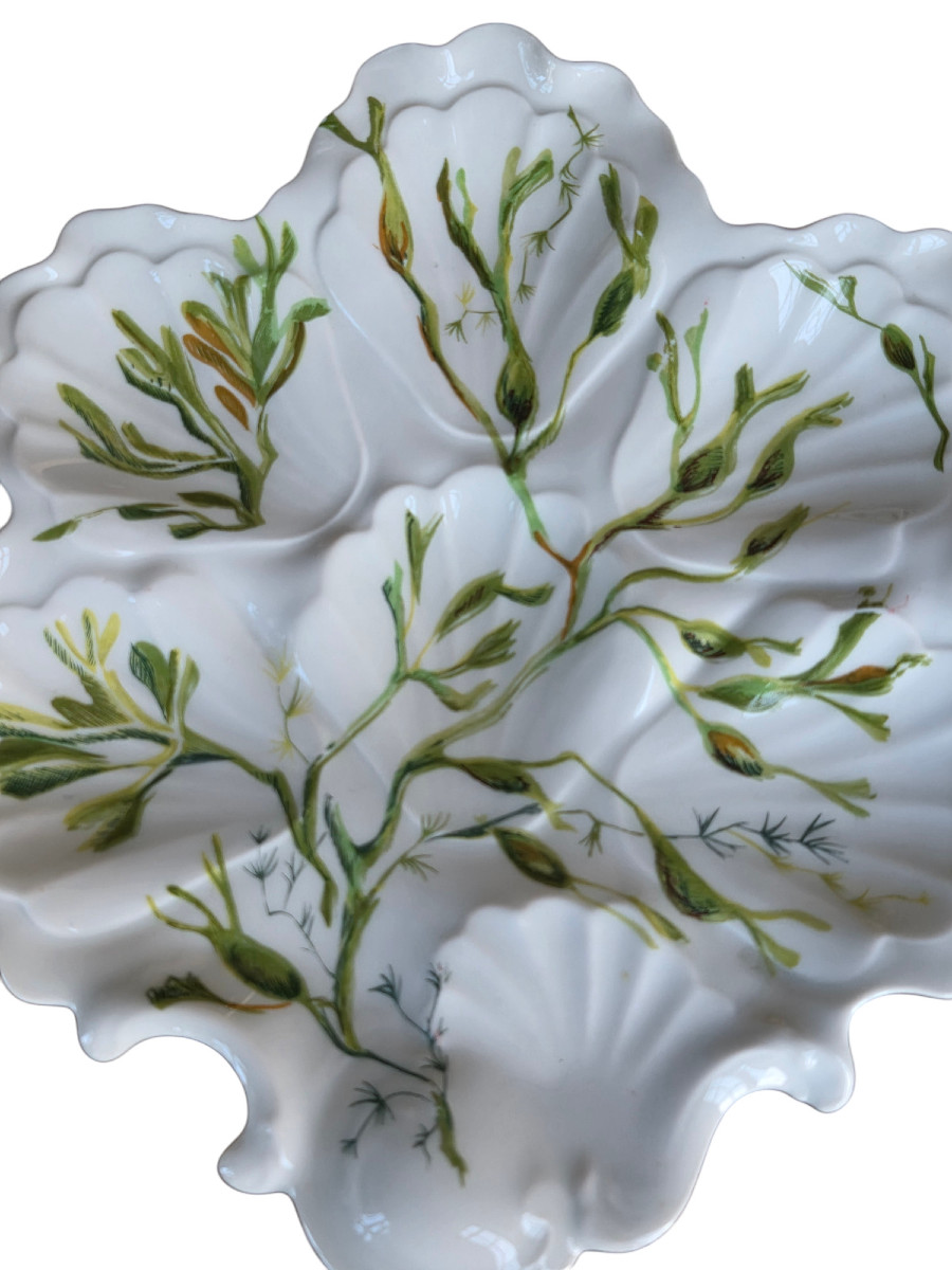 Série De 12 Assiettes à huitre En Forme De Coquille En Porcelaine De Limoges.-photo-3