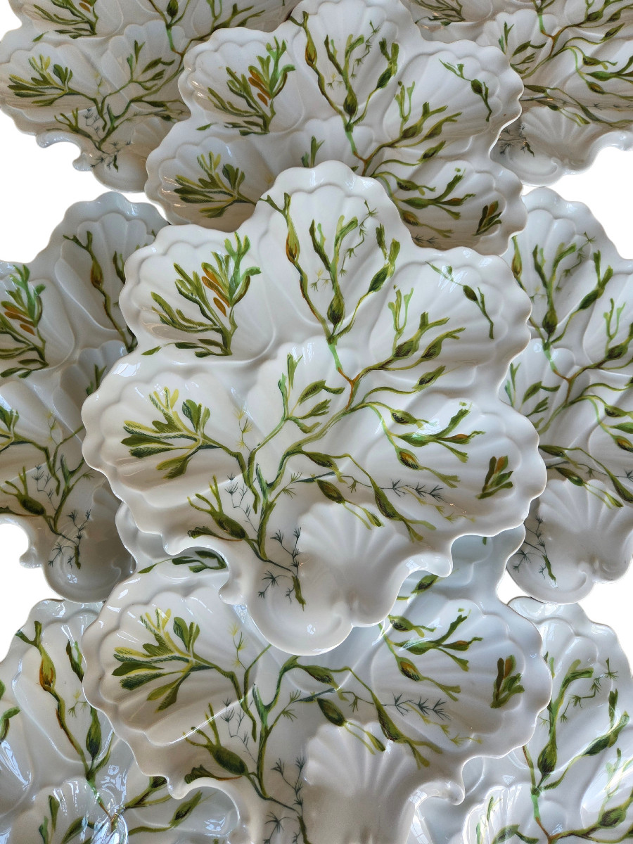 Série De 12 Assiettes à huitre En Forme De Coquille En Porcelaine De Limoges.-photo-4