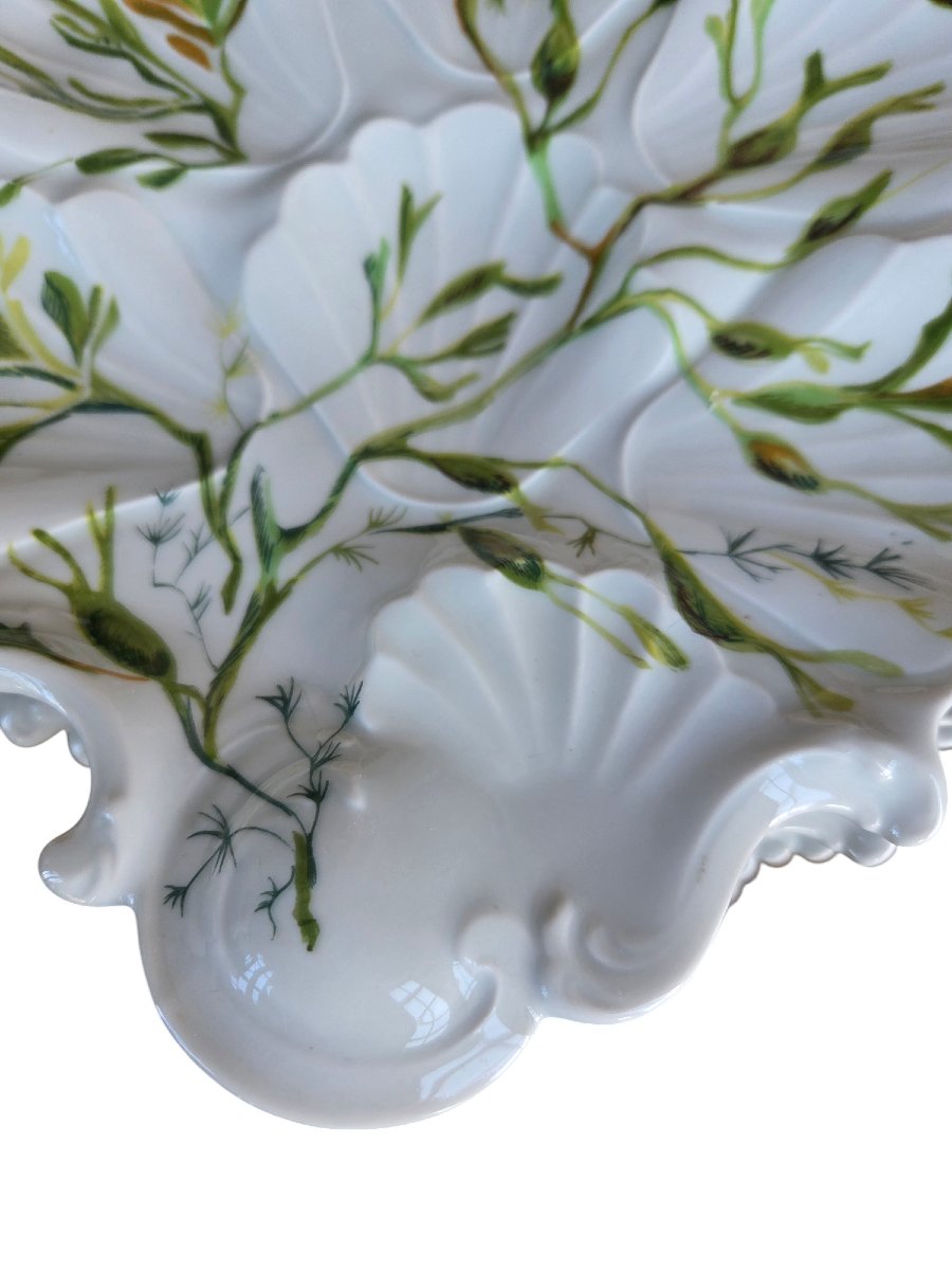 Set Of 12 Shell-shaped Plates In Limoges Porcelain.-photo-4