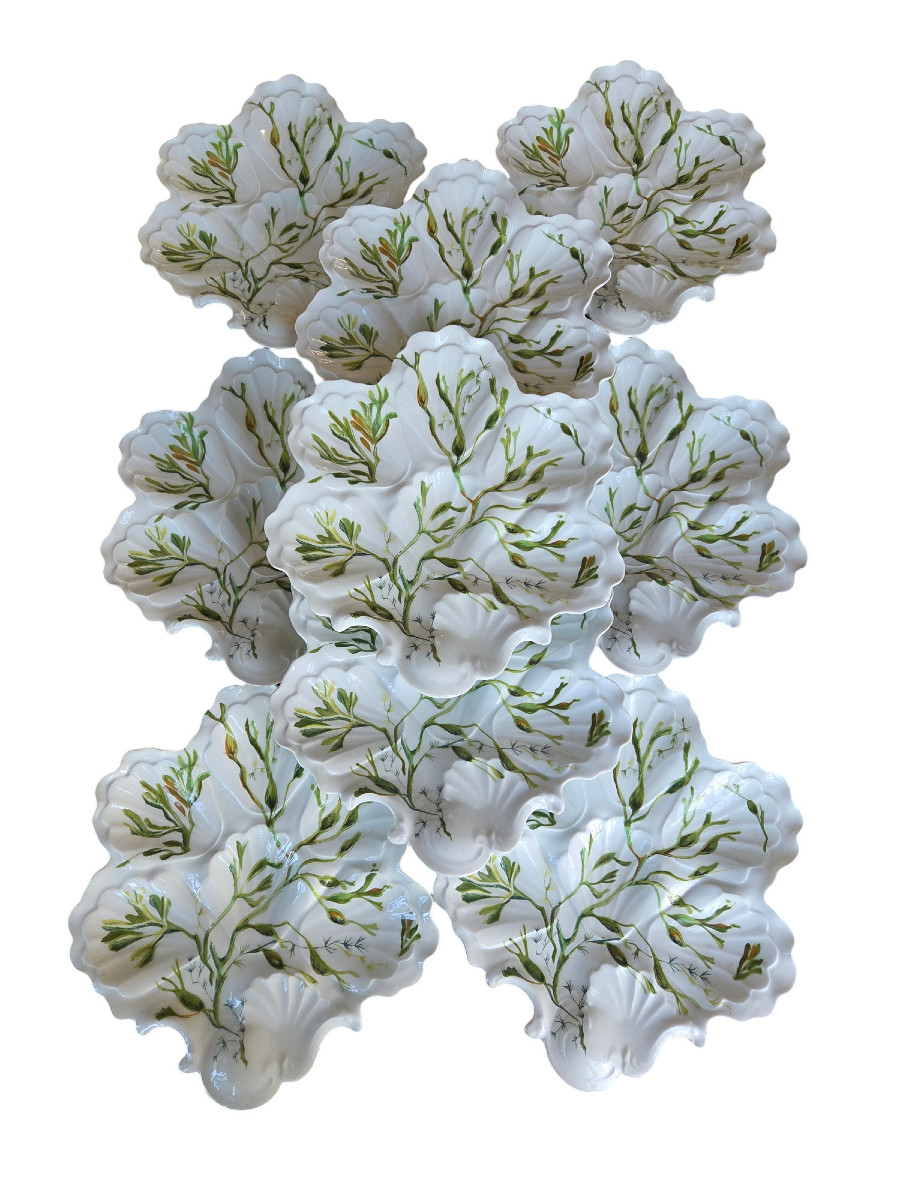 Set Of 12 Shell-shaped Plates In Limoges Porcelain.