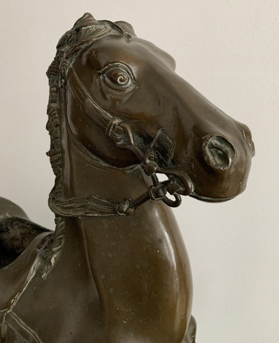 Large 18th Century Bronze Horse Forming Perfume Burner-photo-4