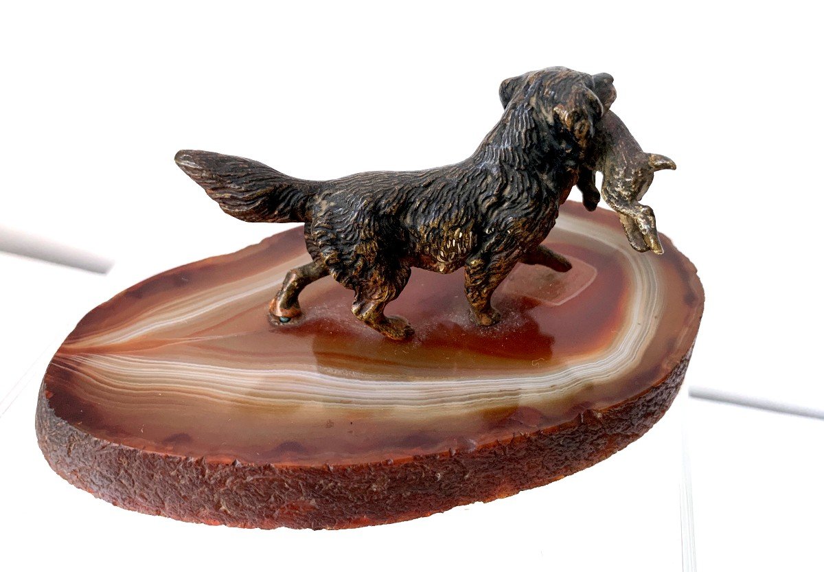 Bronze De Vienne Polychrome Chien Rapportant Un Lièvre Sur Agate-photo-3