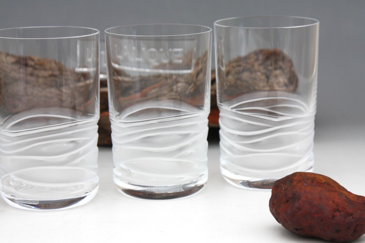 Set De 5 Verres à Whisky En Cristal De Lalique Modèle Caryota 11,7 Cm-photo-2