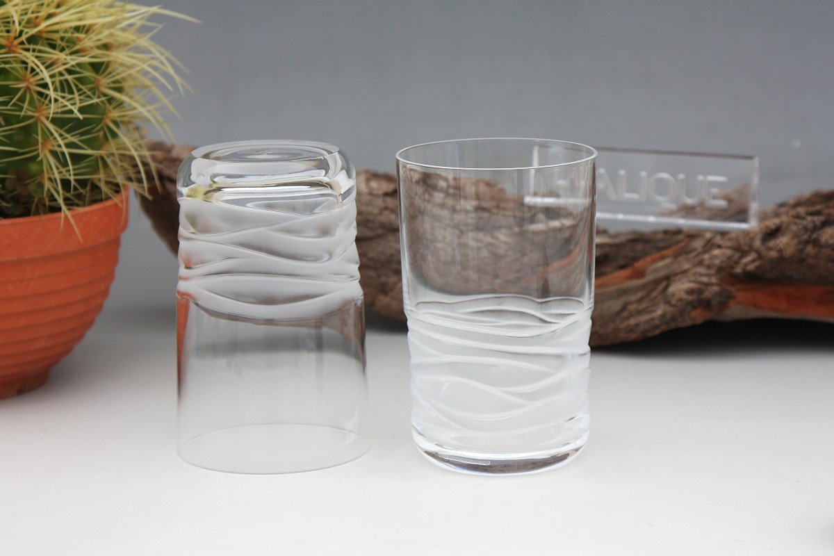 Set De 5 Verres à Whisky En Cristal De Lalique Modèle Caryota 11,7 Cm-photo-5