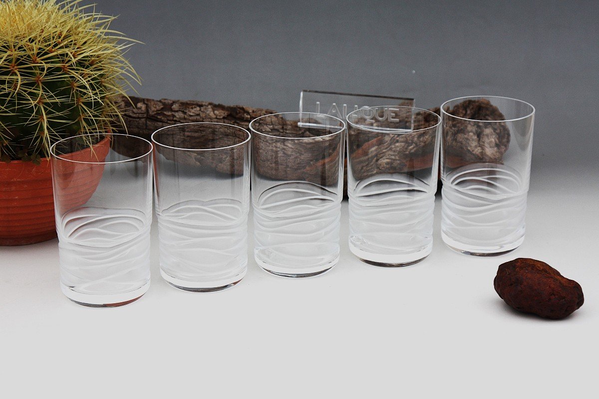 Set De 5 Verres à Whisky En Cristal De Lalique Modèle Caryota 11,7 Cm