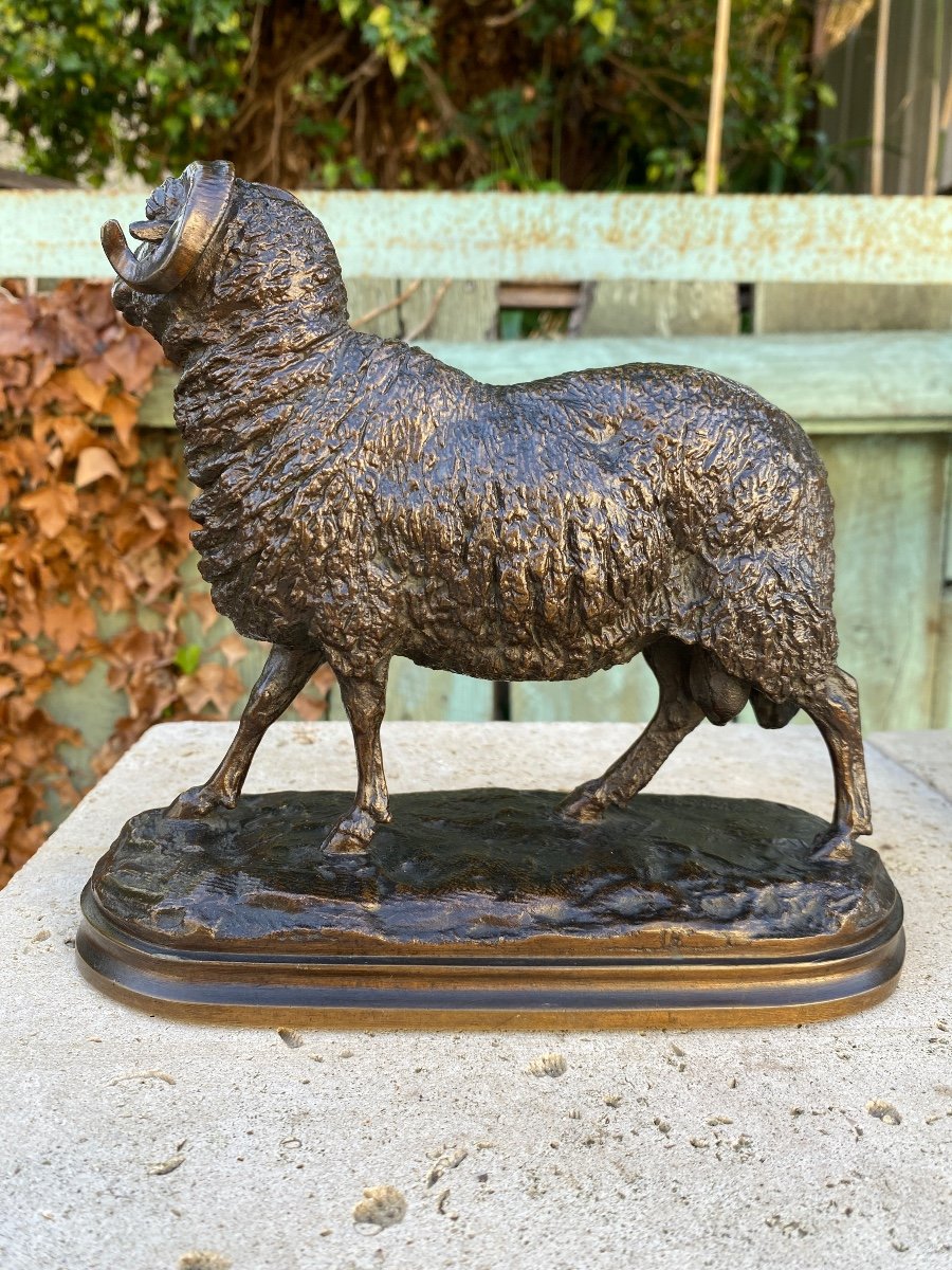 Goat / Ram In Bronze With Brown Patina Signed 19th Century Signed Isidore Bonheur (1827-1901)-photo-3