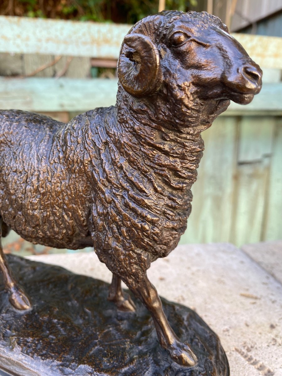 Goat / Ram In Bronze With Brown Patina Signed 19th Century Signed Isidore Bonheur (1827-1901)-photo-4