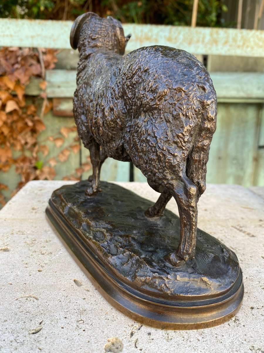 Goat / Ram In Bronze With Brown Patina Signed 19th Century Signed Isidore Bonheur (1827-1901)-photo-3