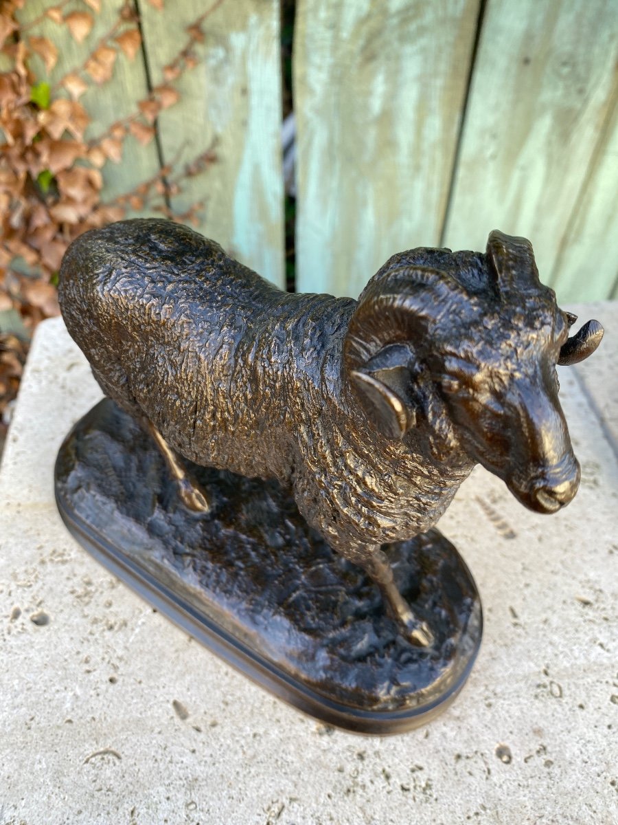 Goat / Ram In Bronze With Brown Patina Signed 19th Century Signed Isidore Bonheur (1827-1901)-photo-5