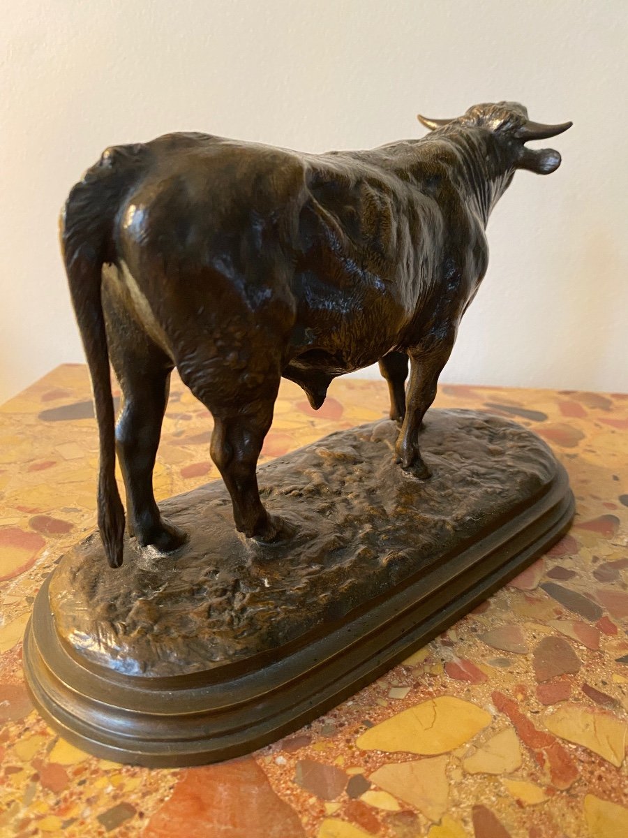 Rosa Bonheur (1822-1899) Bellowing Bull In Bronze With Brown Patina, Founder Peyrol-photo-3