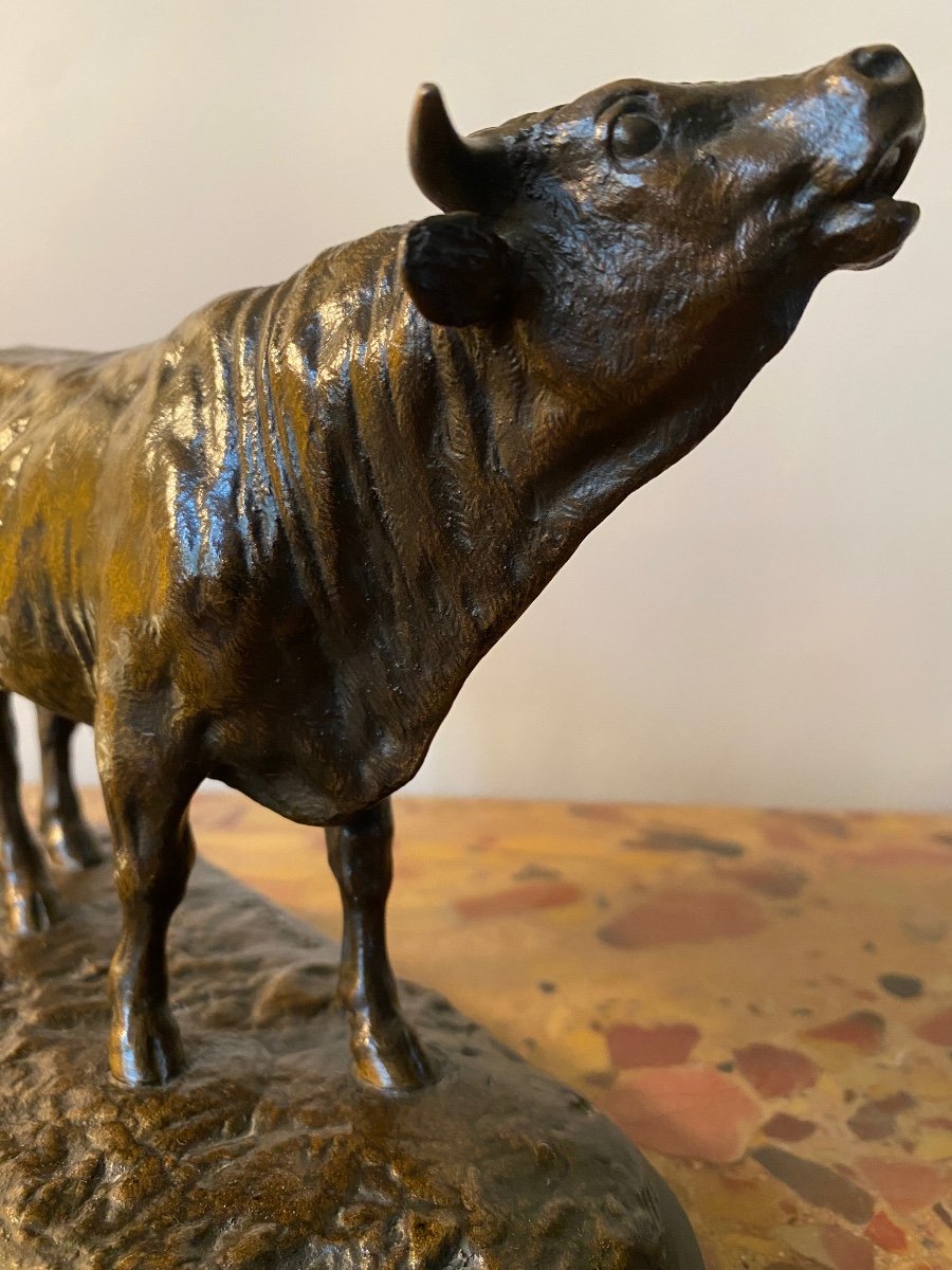 Rosa Bonheur (1822-1899) Bellowing Bull In Bronze With Brown Patina, Founder Peyrol-photo-1