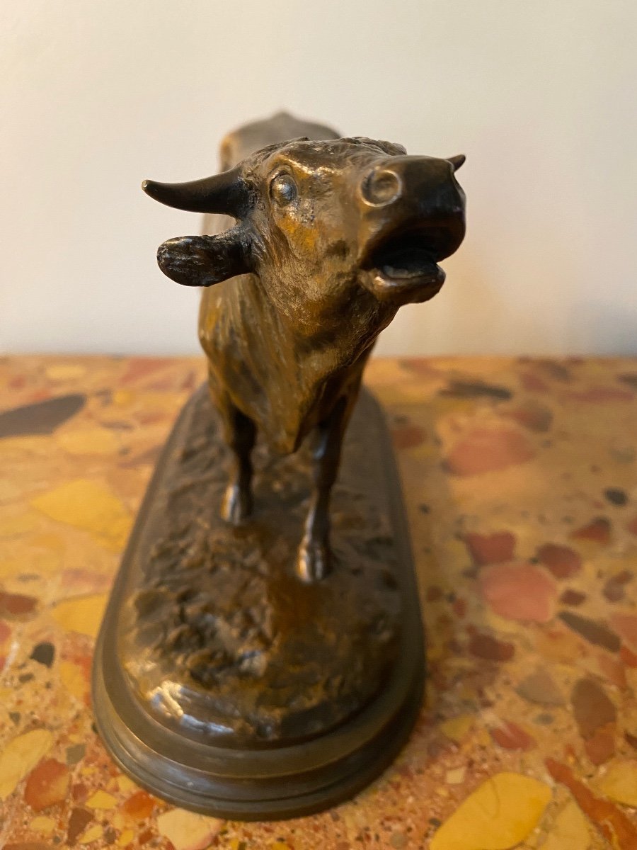 Rosa Bonheur (1822-1899) Bellowing Bull In Bronze With Brown Patina, Founder Peyrol-photo-4