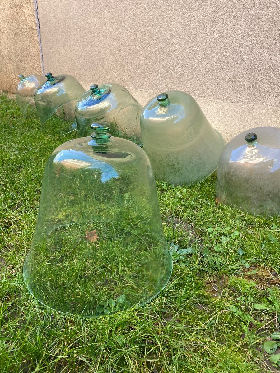 Old Market Gardener Bells, Salad, Melon…