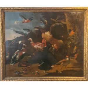 Large Painting Birds By Melchior De Hondecoeter 17th Century