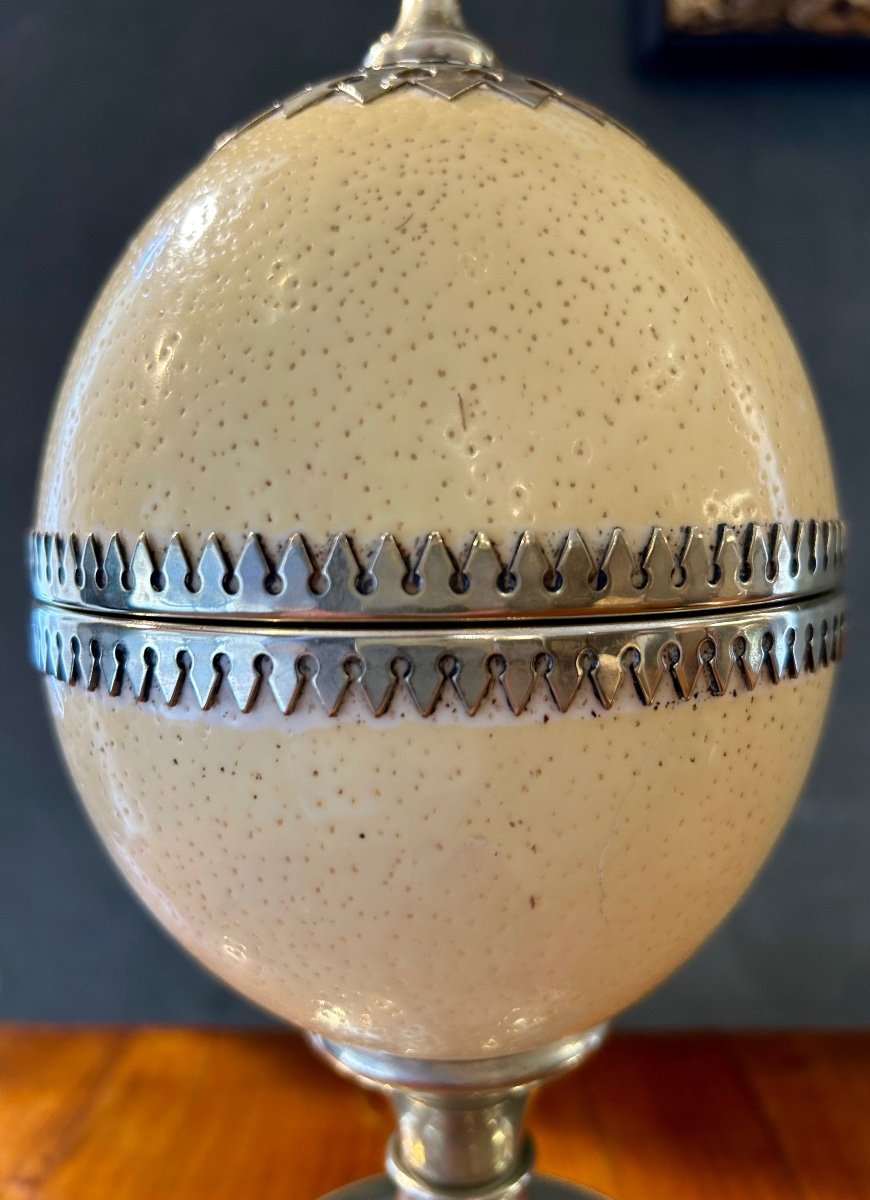 Ostrich Egg Covered Pot-photo-4