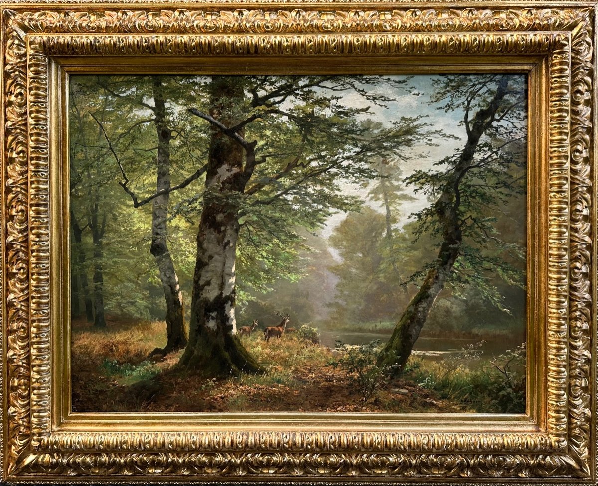 Heinrich Böhmer (düsseldorf, 1852 - 1930) Forest Landscape