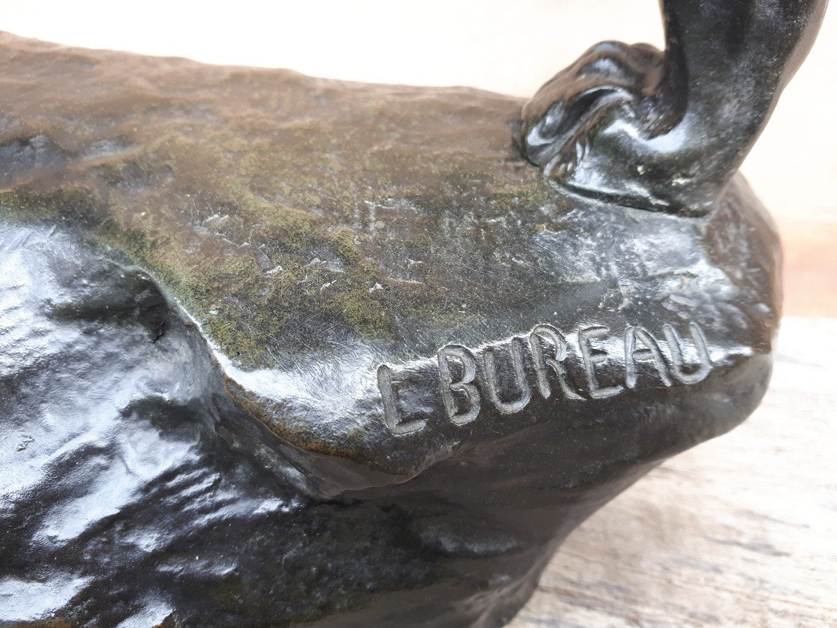 Bronze Sculpture Of A Roaring Lion, By Léon Bureau-photo-7