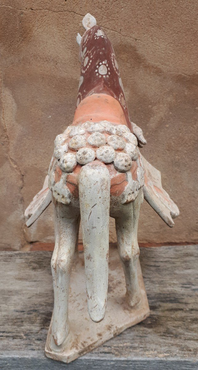 Chinese Terracotta Sculpture Representing A Horse, China, Northern Wei Dynasty-photo-5