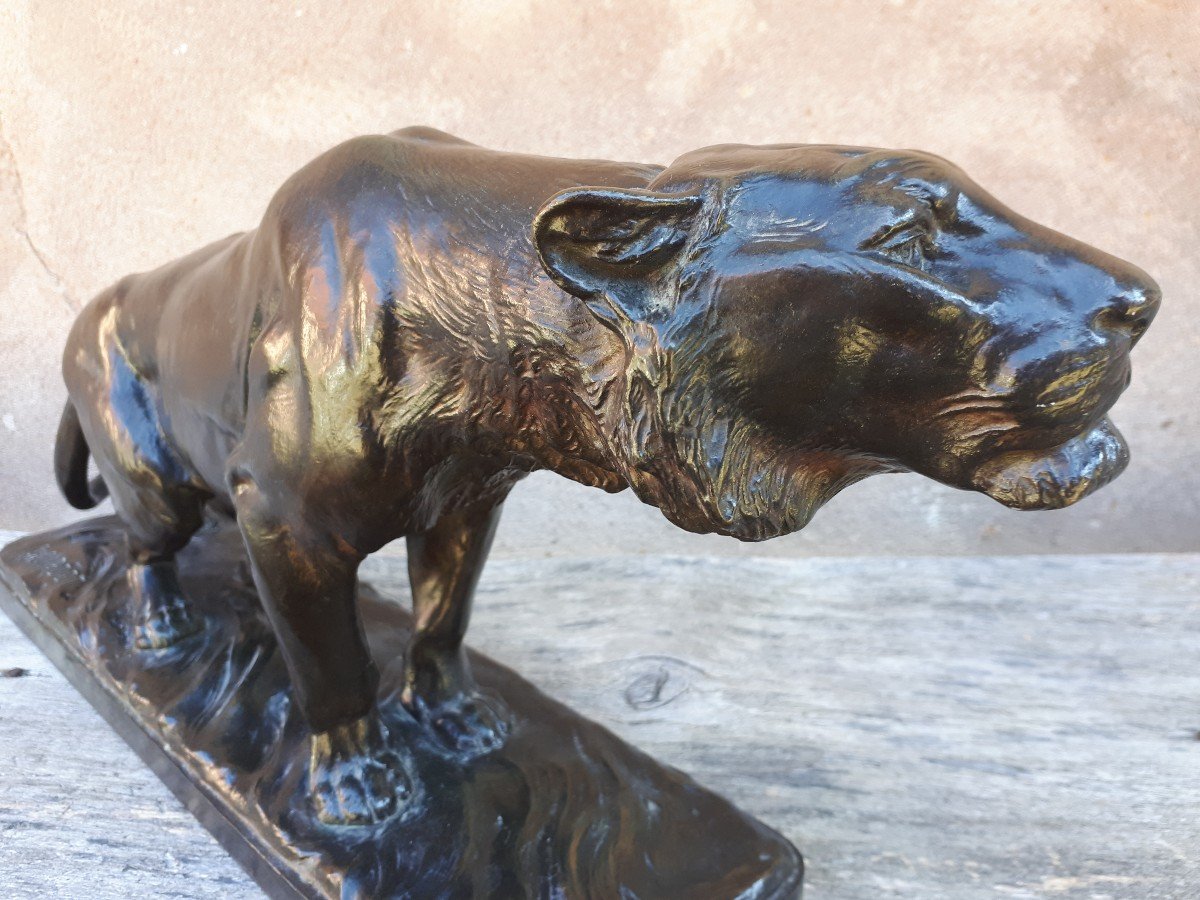 Bronze Sculpture Of A Tiger On The Prowl, By Georges Gardet-photo-3