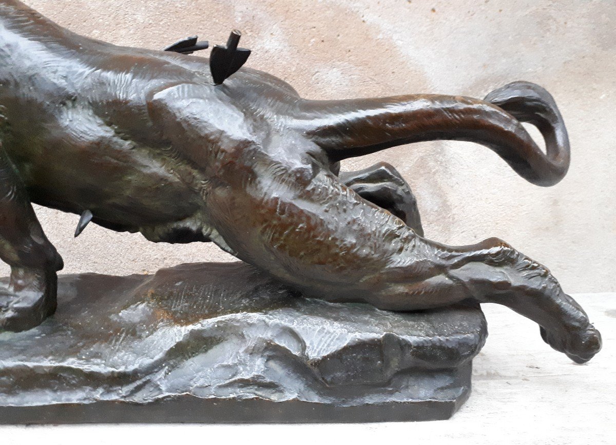 Large Bronze Sculpture (68 Cm) Of An Injured Lioness, By Charles Valton, France 19th Century-photo-3