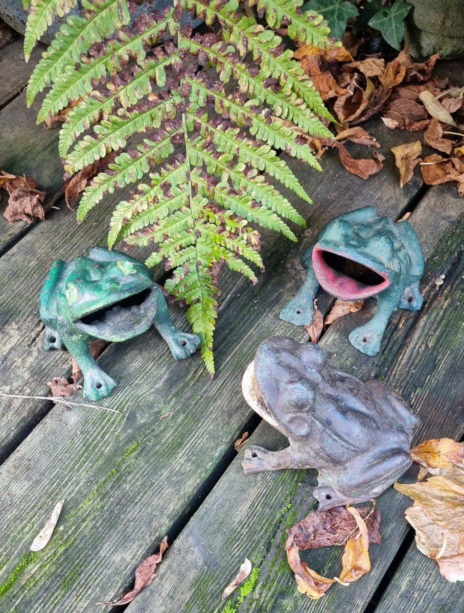 Anciennes Grenouilles En Fonte De Fer