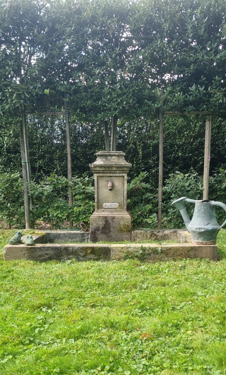 Fontaine En Pierre Et Son Bassin