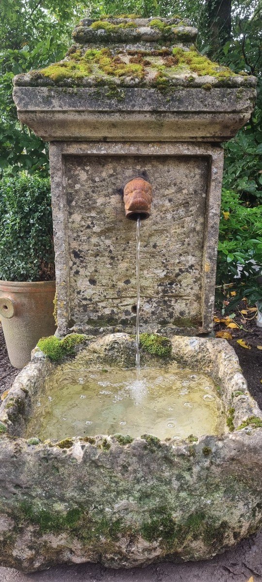 Fontaine En Pierre De St Maximin-photo-1