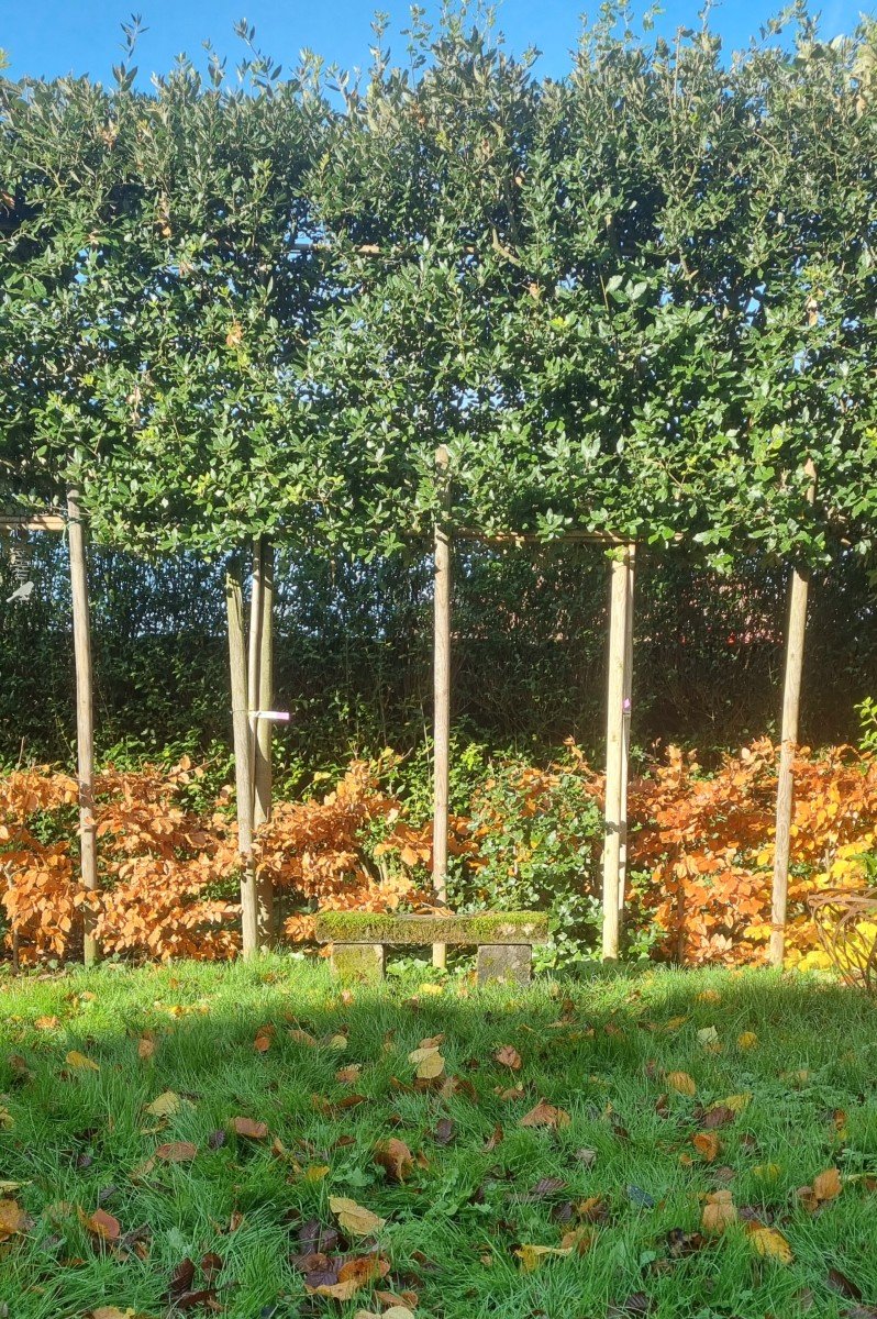 Banc De Jardin En Pierre-photo-4