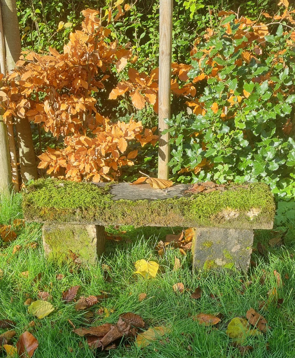 Banc De Jardin En Pierre