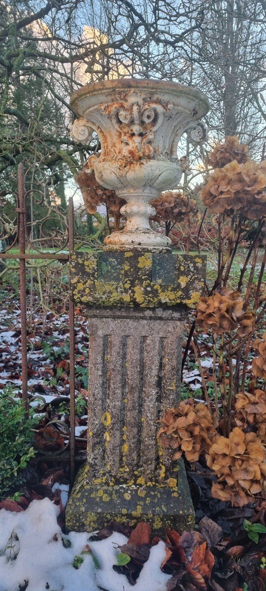 Pair Of Cast Iron Vases On Columns-photo-2