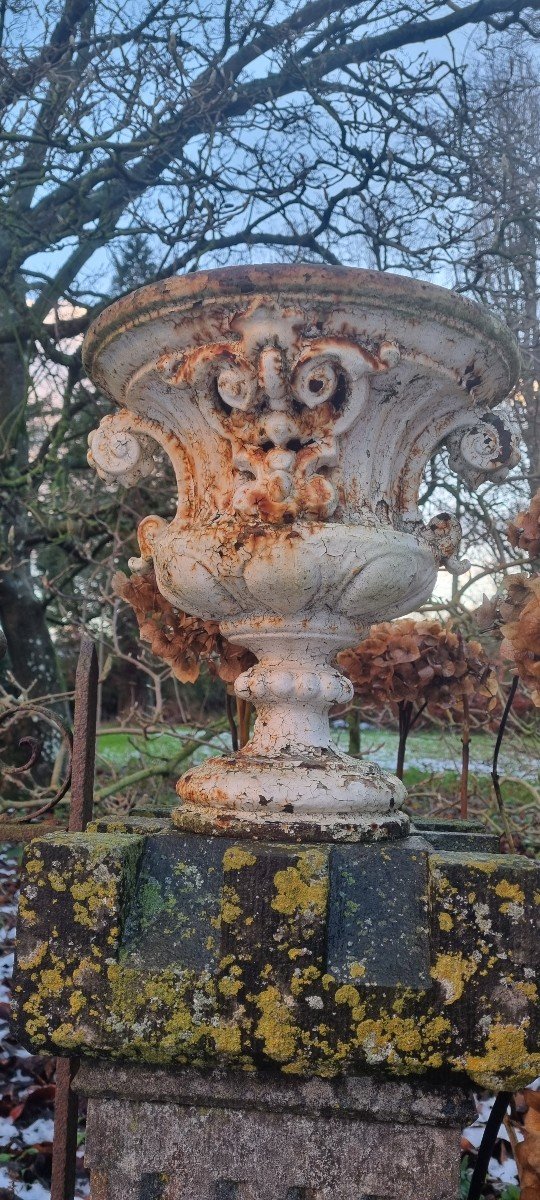 Pair Of Cast Iron Vases On Columns-photo-3