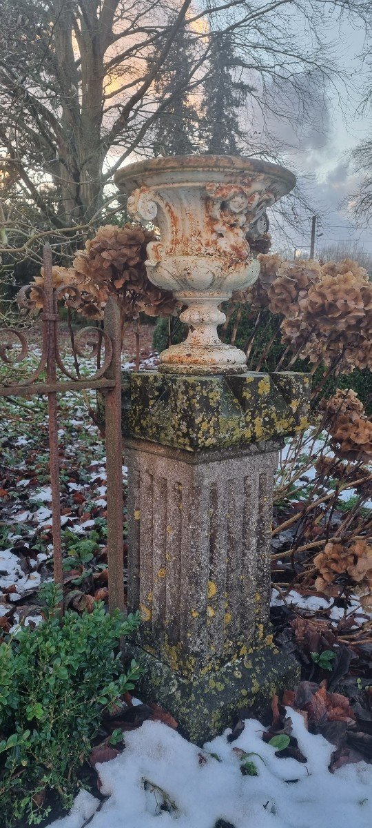 Pair Of Cast Iron Vases On Columns-photo-1