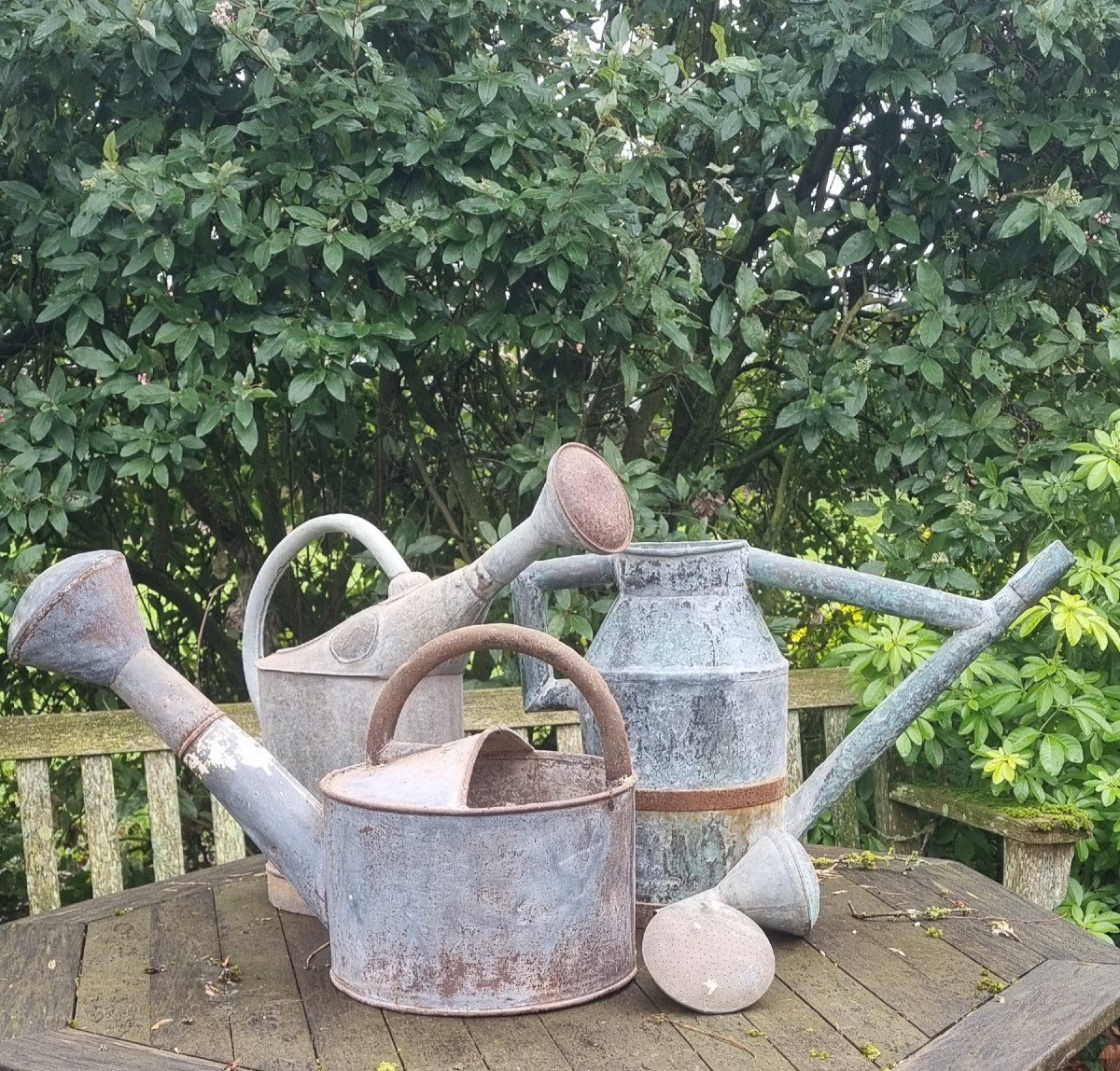 Garden Watering Cans...