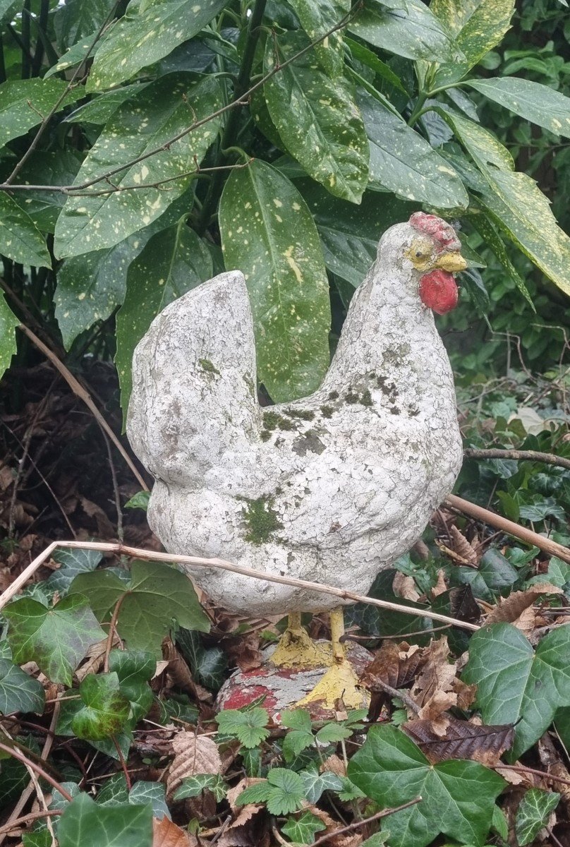 Poule En Ciment ...décoration De Jardin-photo-3