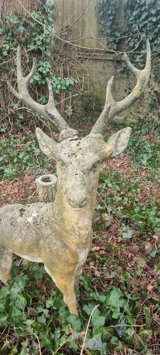 Cerf En Ciment ...décoration De Jardin-photo-2