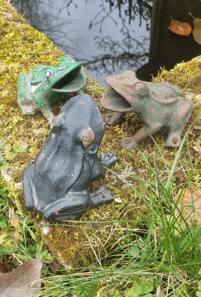 Three Cast Iron Frogs-photo-4