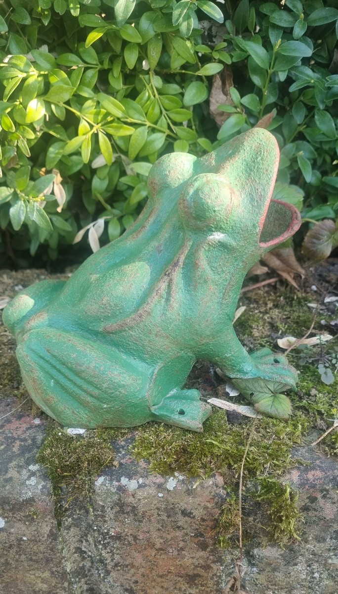 Cast Iron Frogs.... Circa 1900-photo-2