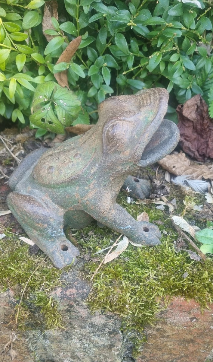 Cast Iron Frogs.... Circa 1900-photo-3