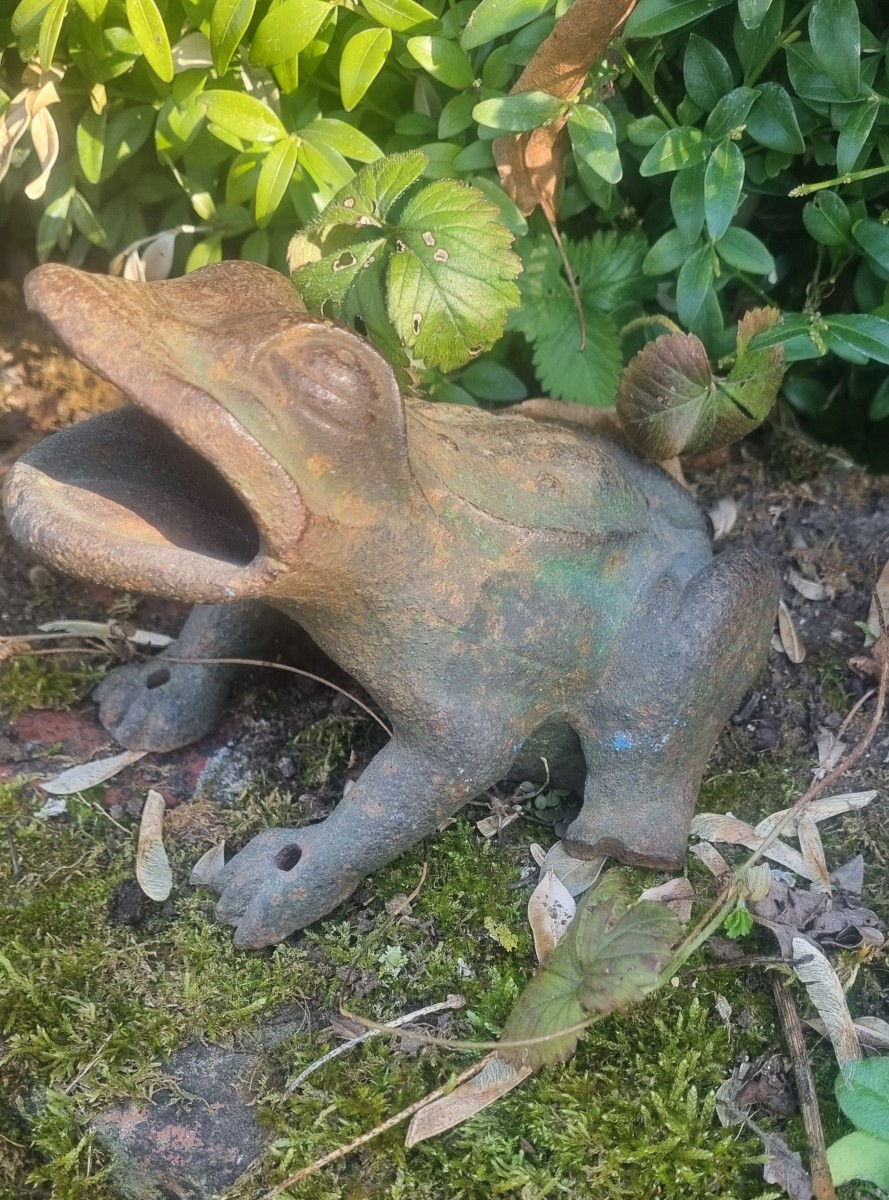 Cast Iron Frogs.... Circa 1900-photo-1