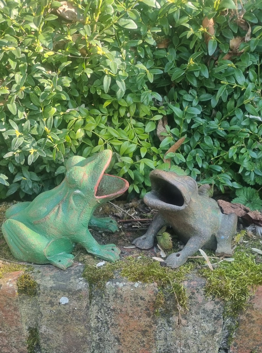 Cast Iron Frogs.... Circa 1900