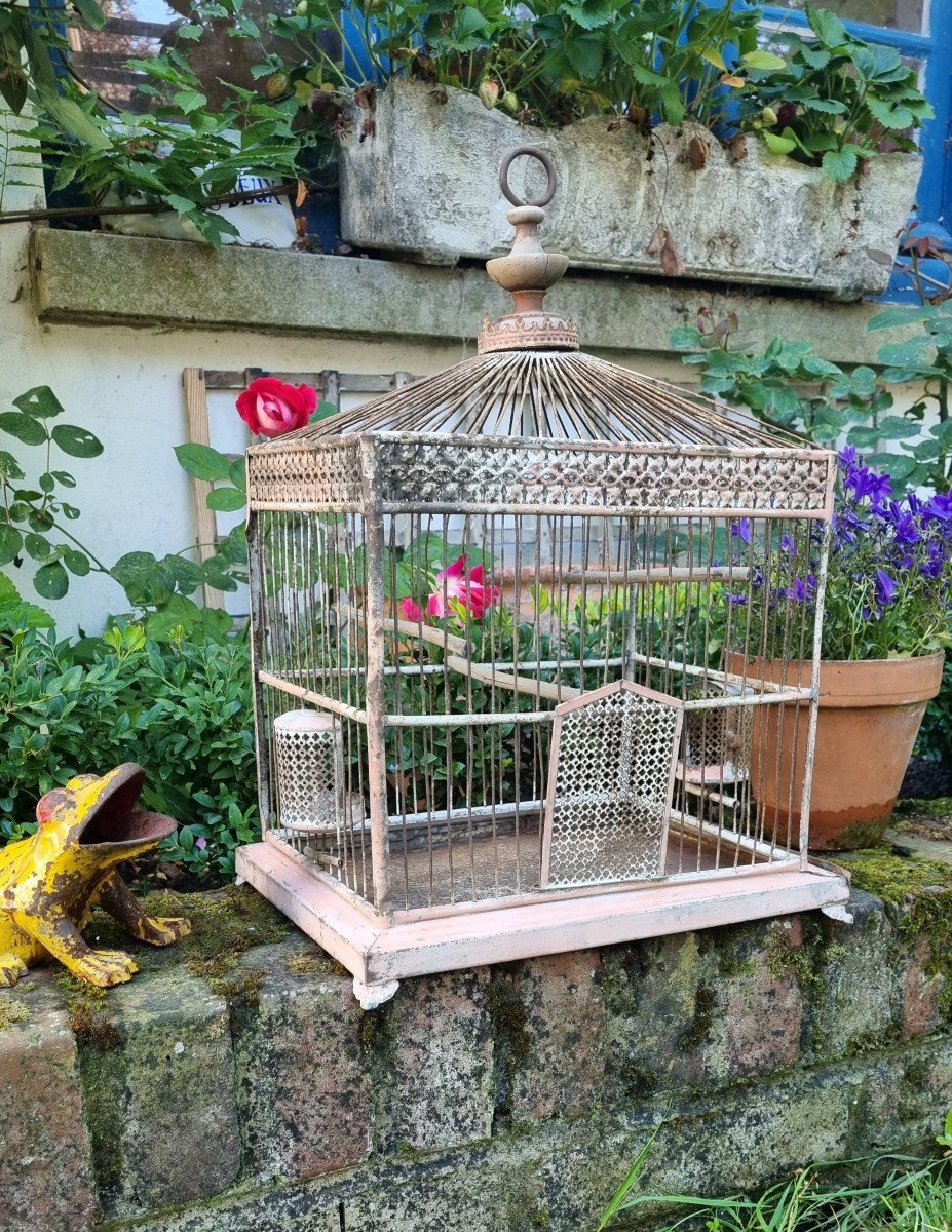 Charming Napoleon III Bird Cage-photo-2